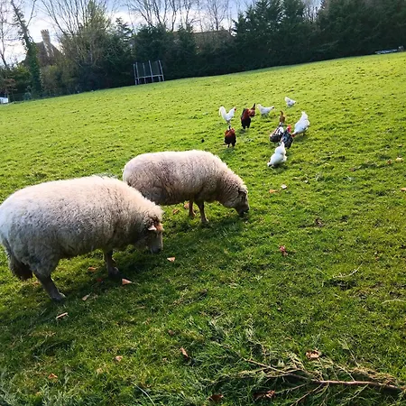 Augettes Longere Normande * Saint-Hymer