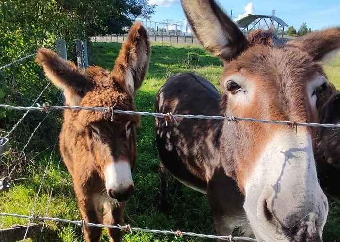 Augettes Longère Normande *