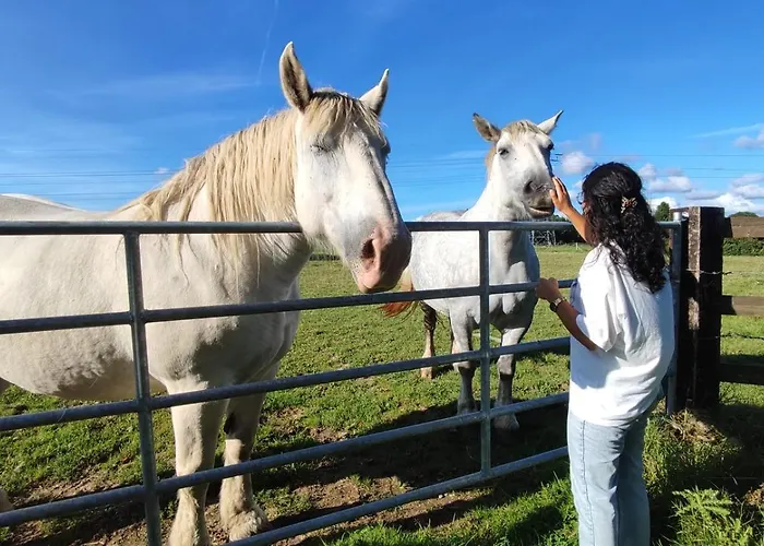 Casa vacanze Augettes Longère Normande