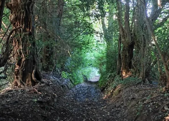 Prázdninový dům Augettes Longere Normande