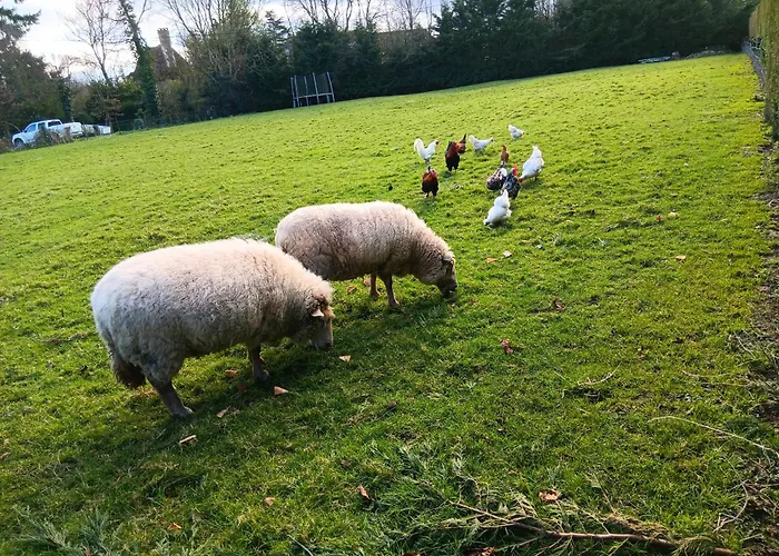 Augettes Longere Normande * Saint-Hymer
